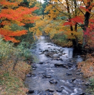 Creek